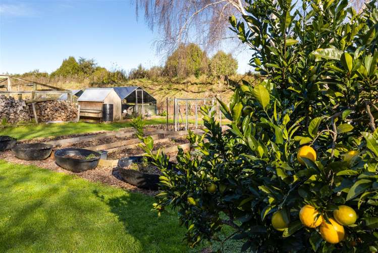 144 Blind Creek Road Tuamarina_35