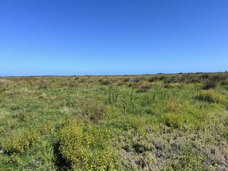 Lot . Burke Road Barrytown_3