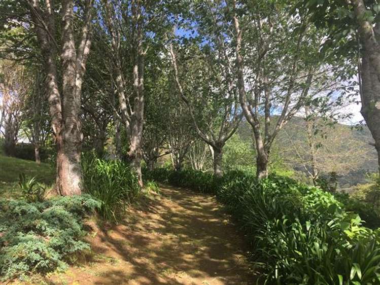 473 Kauaeranga Valley Road Thames_33