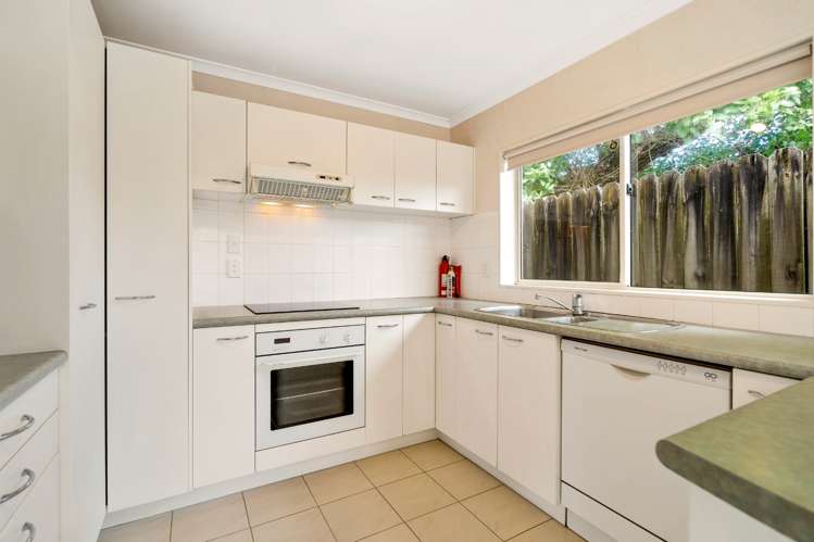 29a Riversdale Road Avondale_5