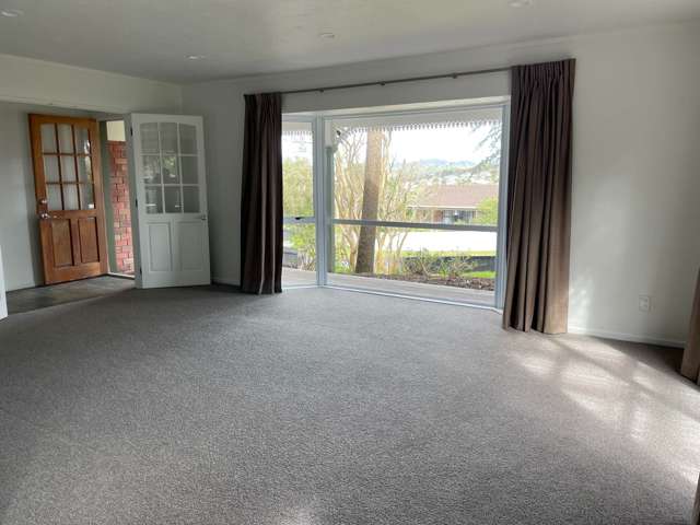 39 Palomino Drive Henderson_4