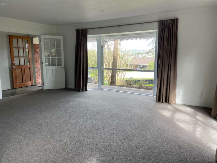 39 Palomino Drive Henderson_3