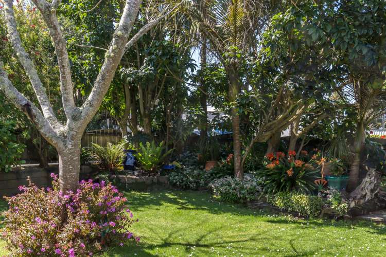 1/16 Puriri Avenue Orewa_12