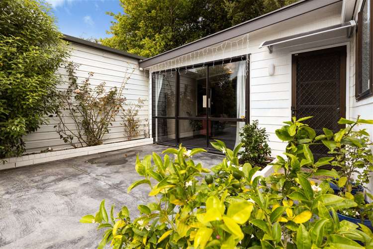 44 Brydon Street Renwick_21