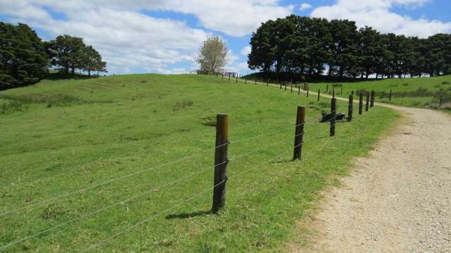 3136 State Highway 1 Umawera_3