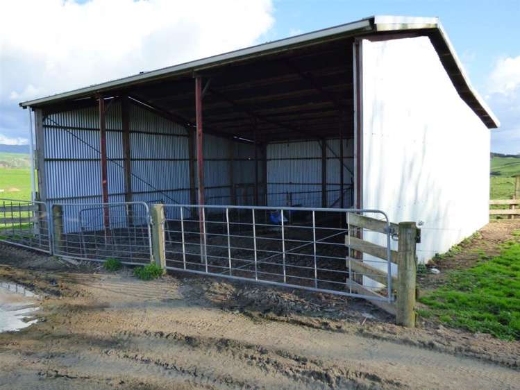 203/219 Paewhenua Road Maihiihi_29