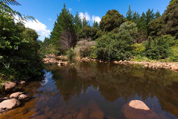 1312 Wekaweka Road Waimamaku_16