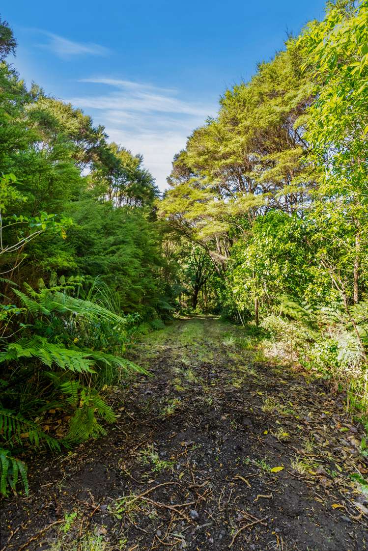 565 Whitford Road Whitford_15