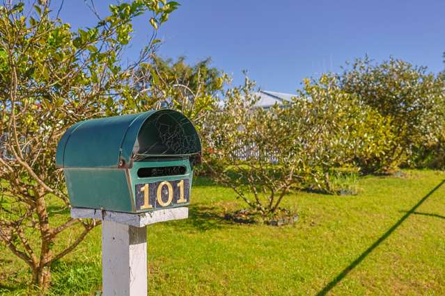 101 Fergusson Drive Thames_3