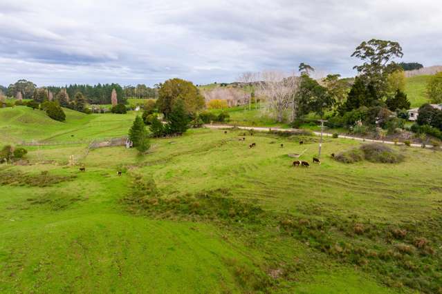 Omana Road Tangiteroria_1