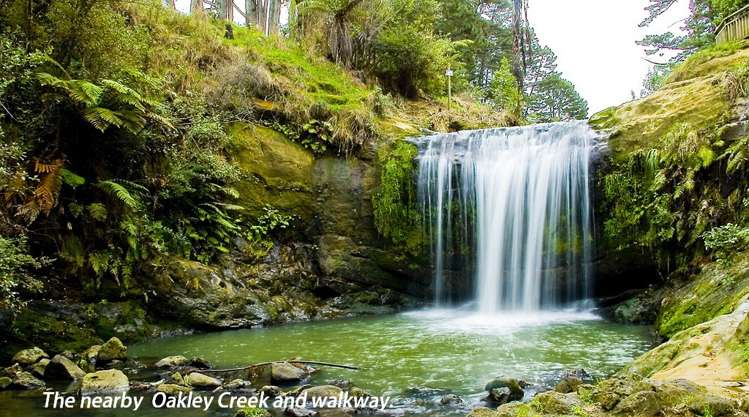 1/23a Cradock Street Avondale_12