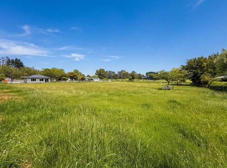 73/77 Manfield Street Tokoroa_1