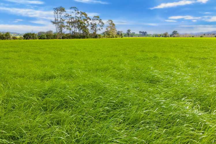 125 Awakino Point East Road Dargaville_21