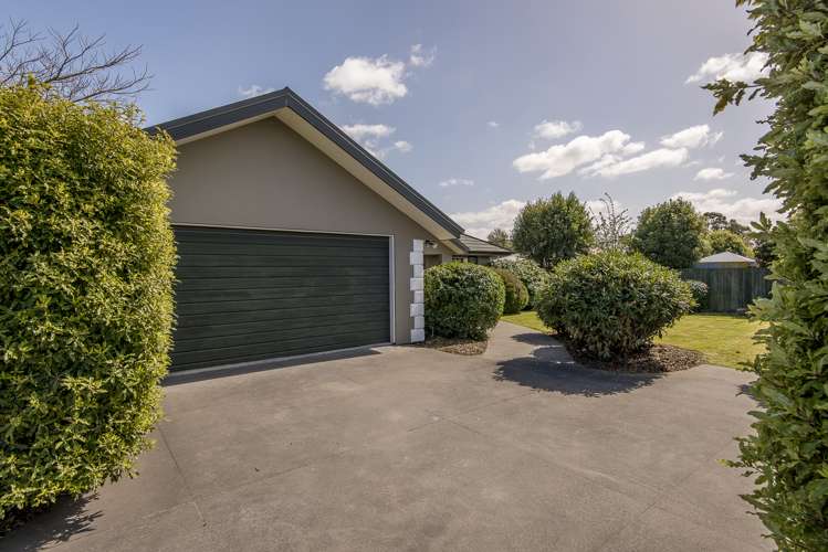 15 Harrys Way Redwood_4