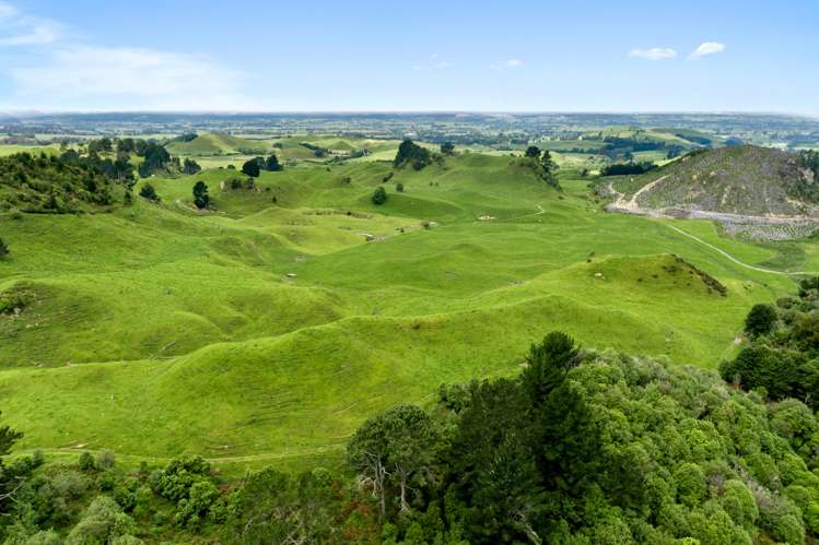 286 Jay Road Reporoa and Surrounds_1