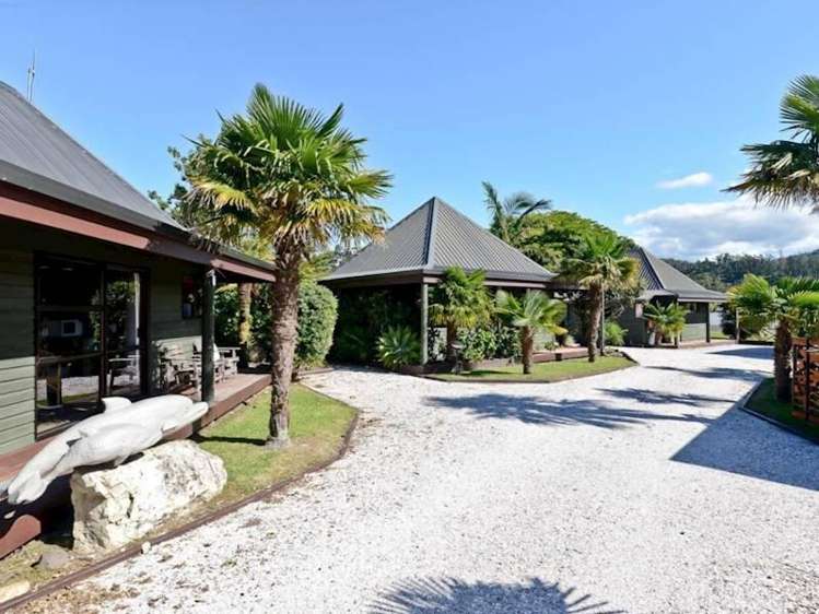 Address withheld Coromandel Forest Park_5