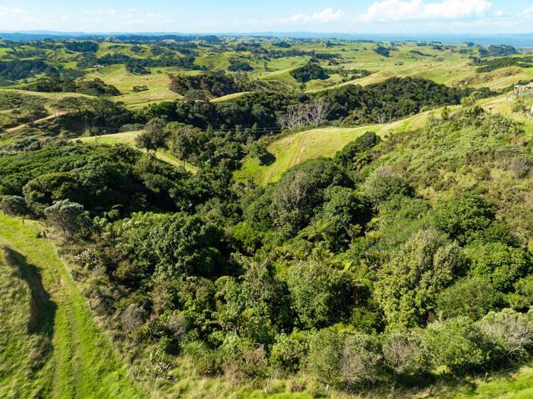 1672 Awhitu Road Waiuku_14