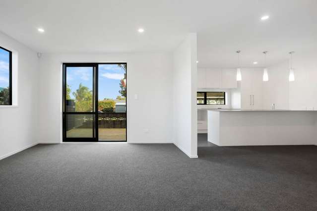 1/10 Shamrock Lane Te Atatu Peninsula_1