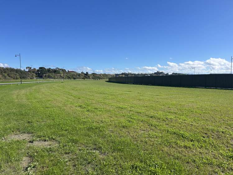 83 Pelorus Avenue Poraiti_10