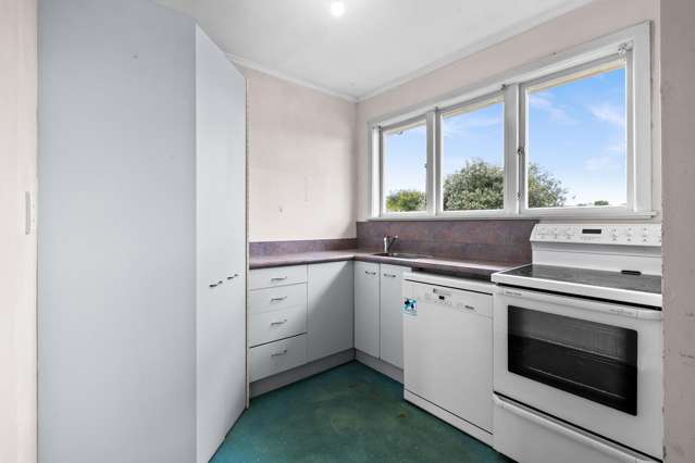 19 Alexander Avenue Onekawa_2