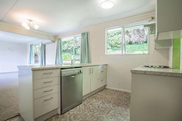 5 Carlson Street Dannevirke_4