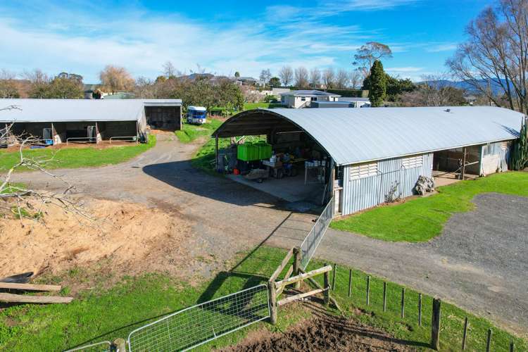 5 St Leger Road Te Awamutu_5