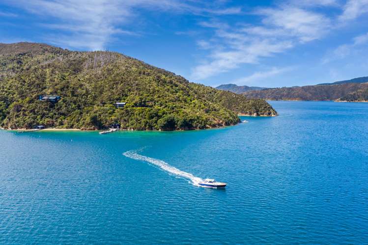 Blackwood Bay Queen Charlotte Sound_36