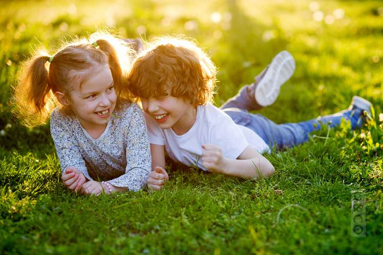 80 Pohutukawa Parade Riverhead_9