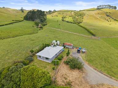 368 Waihi-Whangamata Road_4
