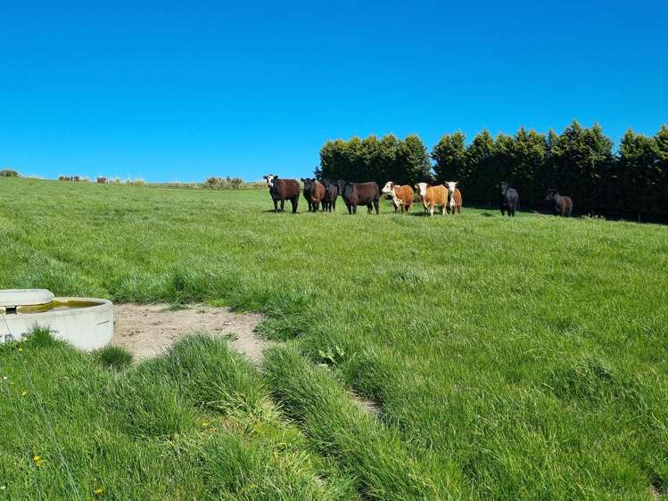 Beggs Track Hillend_8