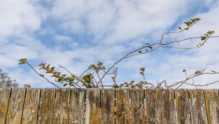 171 Hetherington Road Huntly_36