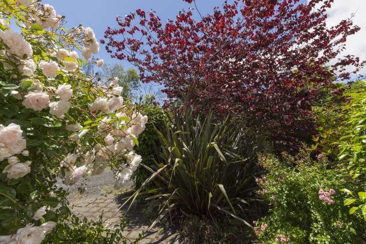 263a Ruahihi Road Kaimai_21