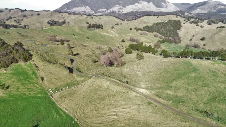 386 Pawarenga Road Broadwood_6