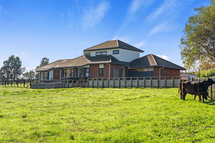 29 Peacockes Lane Peacocke_27