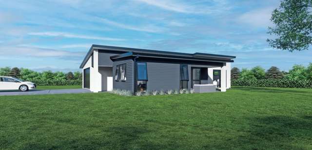 Parry Palm Avenue Waihi_2