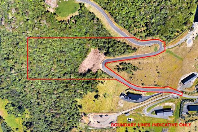 65 Kakapo Street Saint Leonards_1