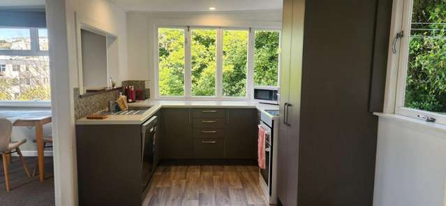 41A Ohiro Road Aro Valley_3