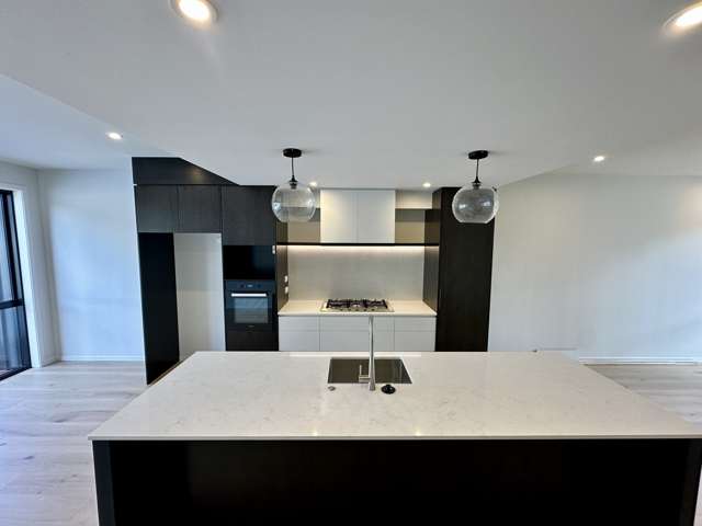 24 Burch Street Mount Albert_3