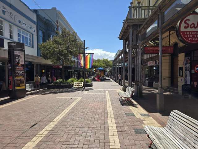 208/20 Left Bank Te Aro_4