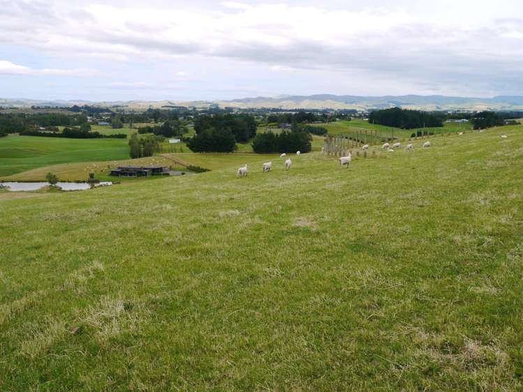 183c Smith Road Dannevirke_9