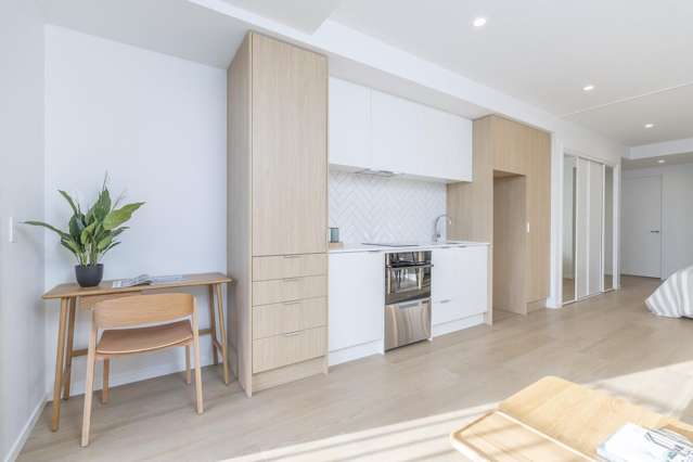 2a Te Ara Taurapa, Pt Chevalier, Auckland 1022 Point Chevalier_4