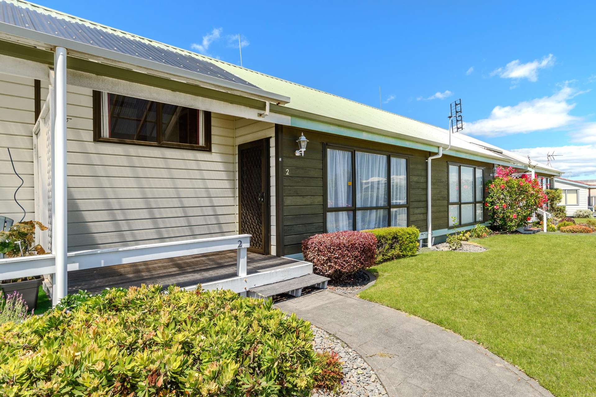 2/3 Puriri Street Mount Maunganui_0