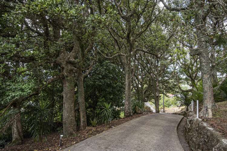 38c Tuatara Drive Kamo_29