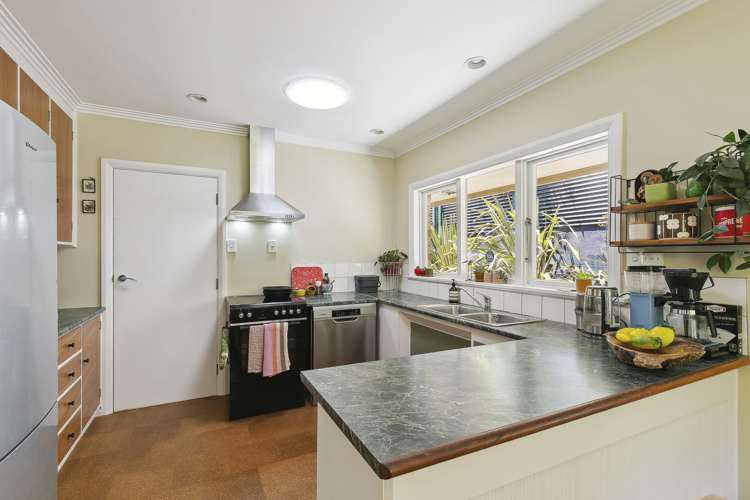 6 Travers Street Vogeltown_6