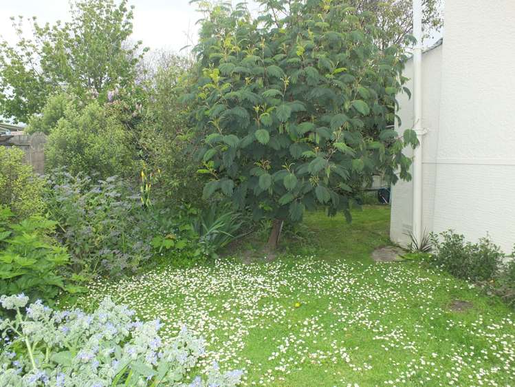 23 Nen Street Oamaru_14