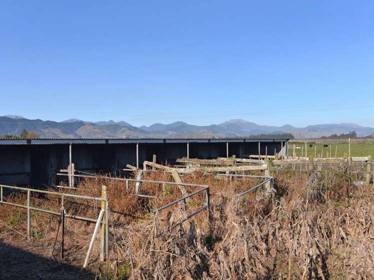 587 Lower Queen Street Richmond_25