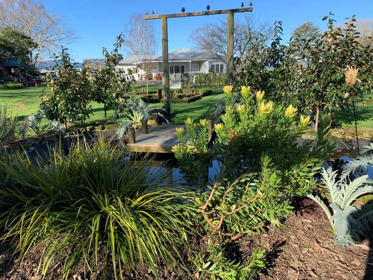 4804 State Highway 29 Matamata_18