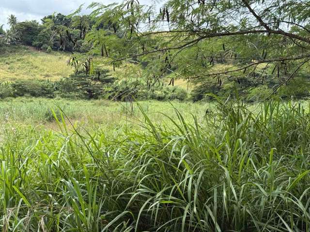 Lot 2 Nasau Nadi_3