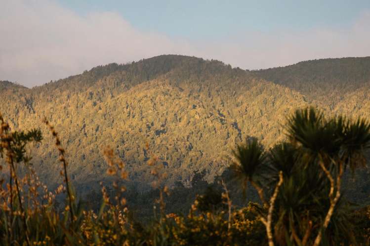 Lot 2 Tasman Way Ross_7
