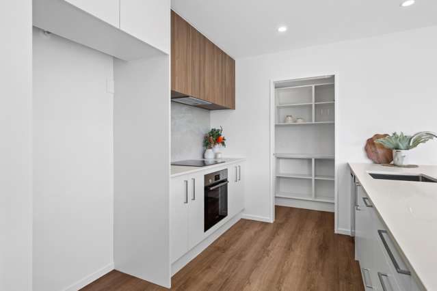 5 Buxton Street Hampstead_2